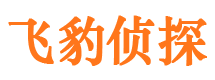 合浦市调查公司